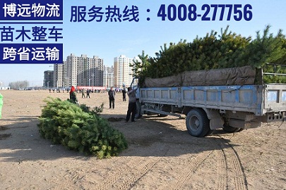 長(zhǎng)沙至河南開(kāi)封8噸植物跨省運(yùn)輸.jpg